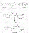 Figure 11.