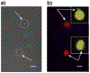 Figure 10.