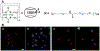 Figure 16.