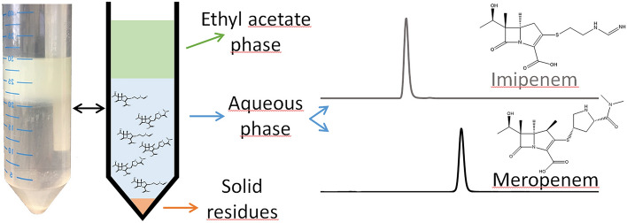 Fig. 3