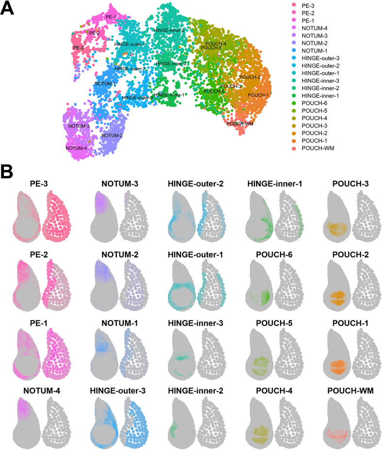 Figure 2—figure supplement 1.