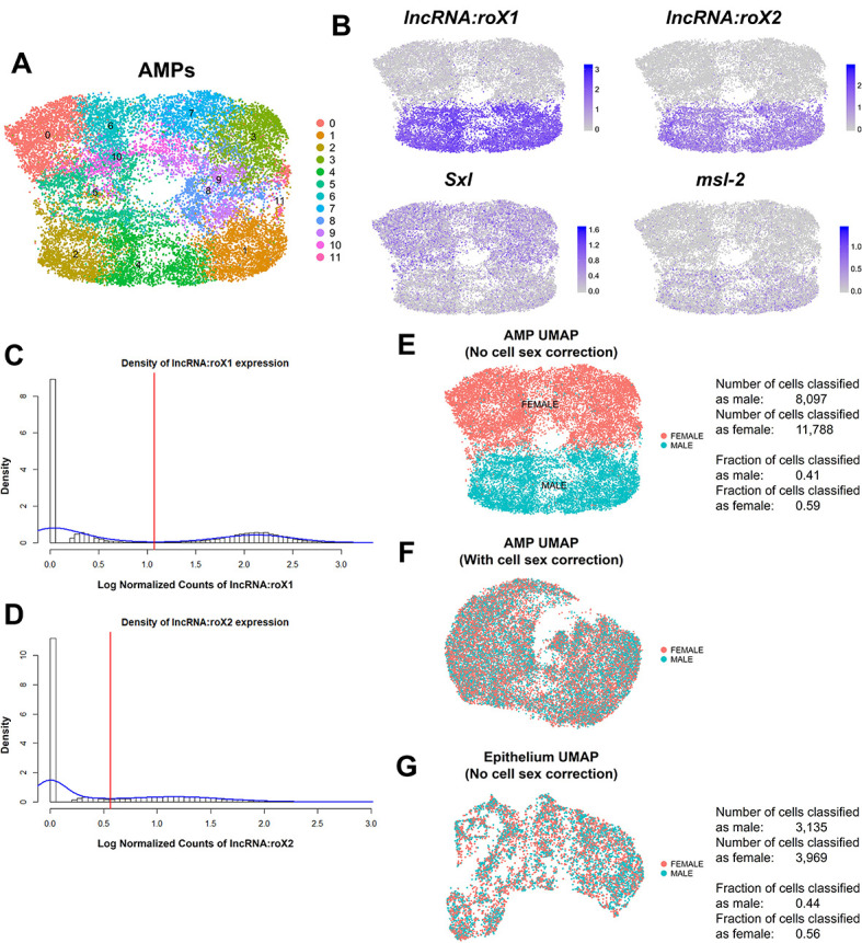 Figure 1—figure supplement 4.