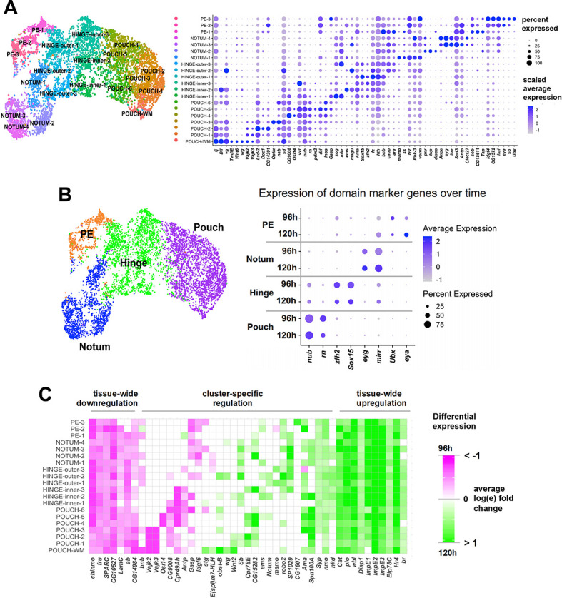 Figure 1—figure supplement 2.