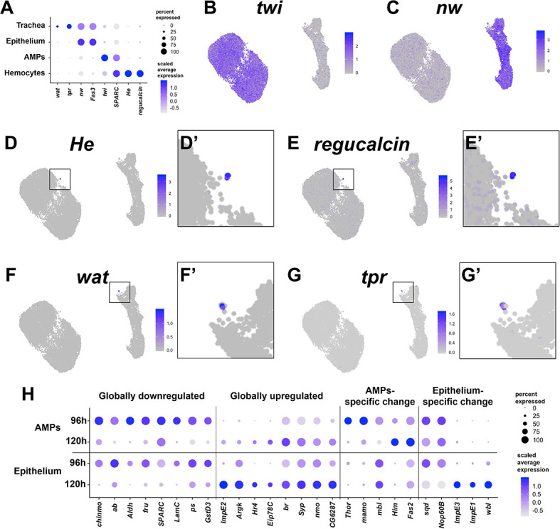 Figure 1—figure supplement 1.