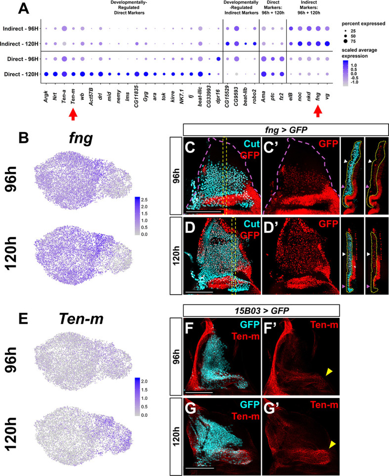 Figure 1—figure supplement 6.