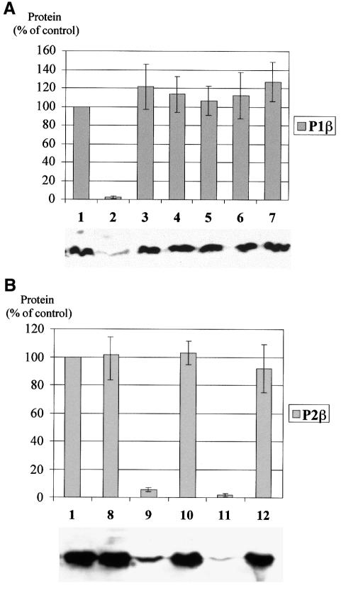 graphic file with name cdd596f5.jpg