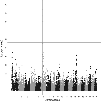 Figure 6 