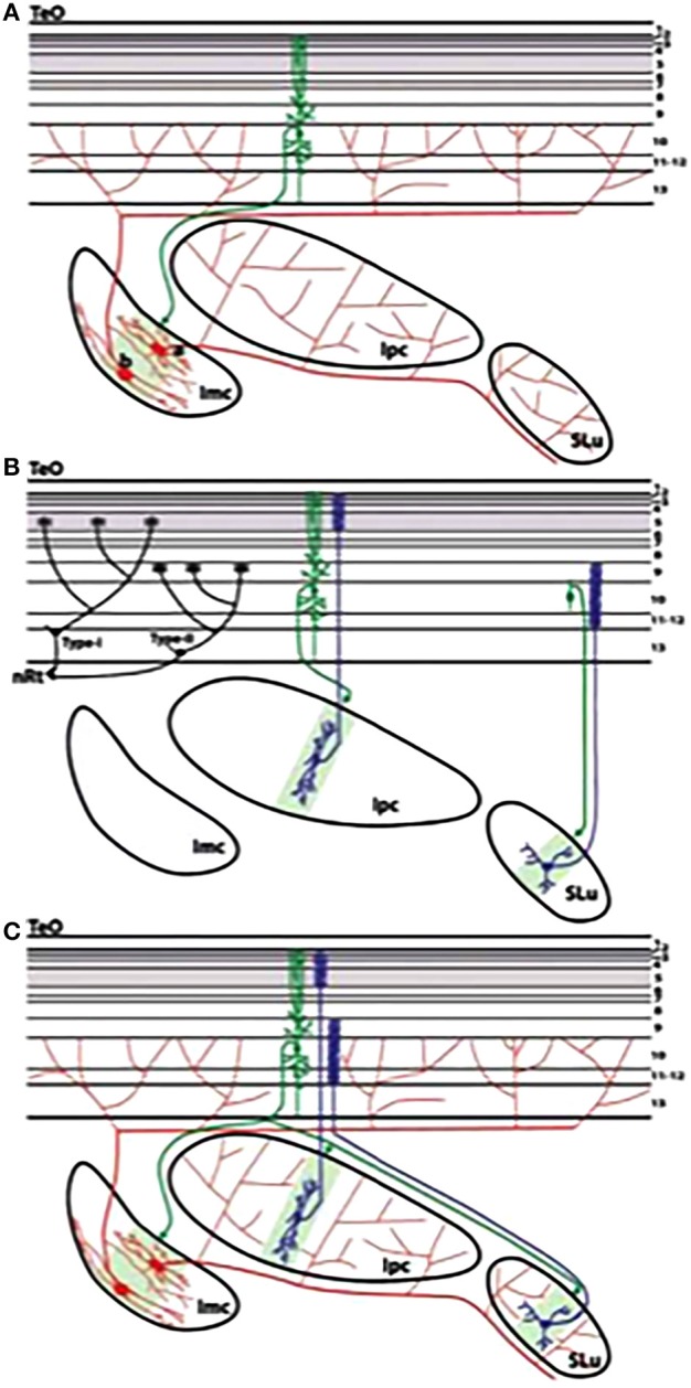 Figure 10