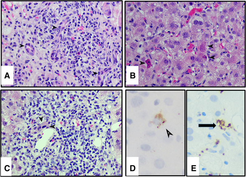 Figure 3