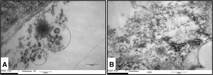 Figure 2