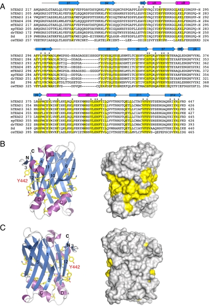 Fig. 3.