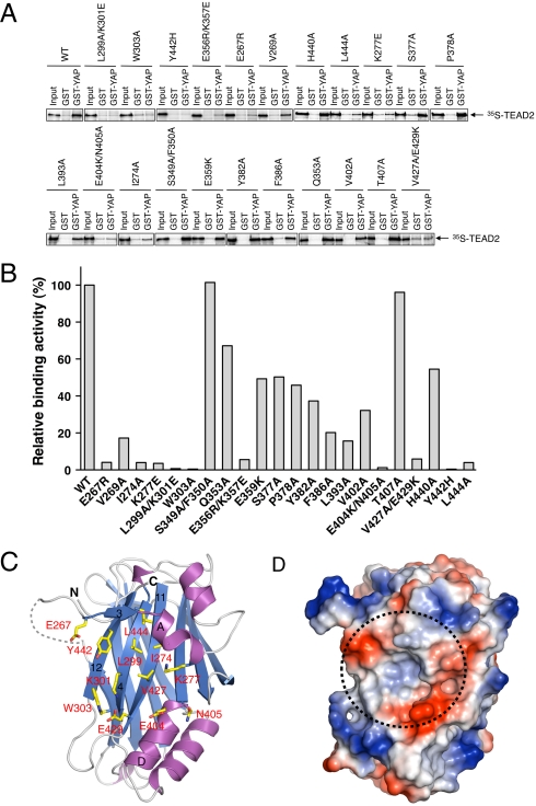 Fig. 4.