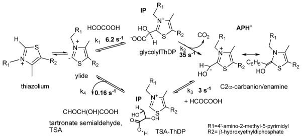 Scheme 3