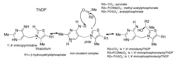 Scheme 2