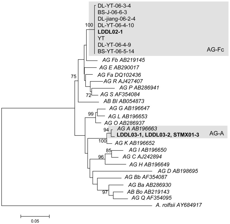 Figure 5