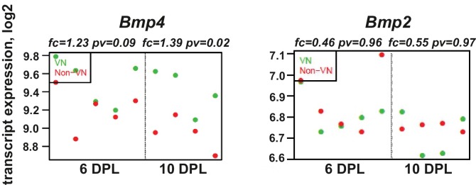 Figure 3—figure supplement 1.