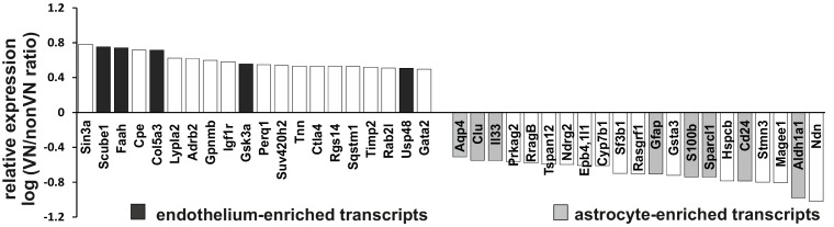 Figure 2—figure supplement 1.