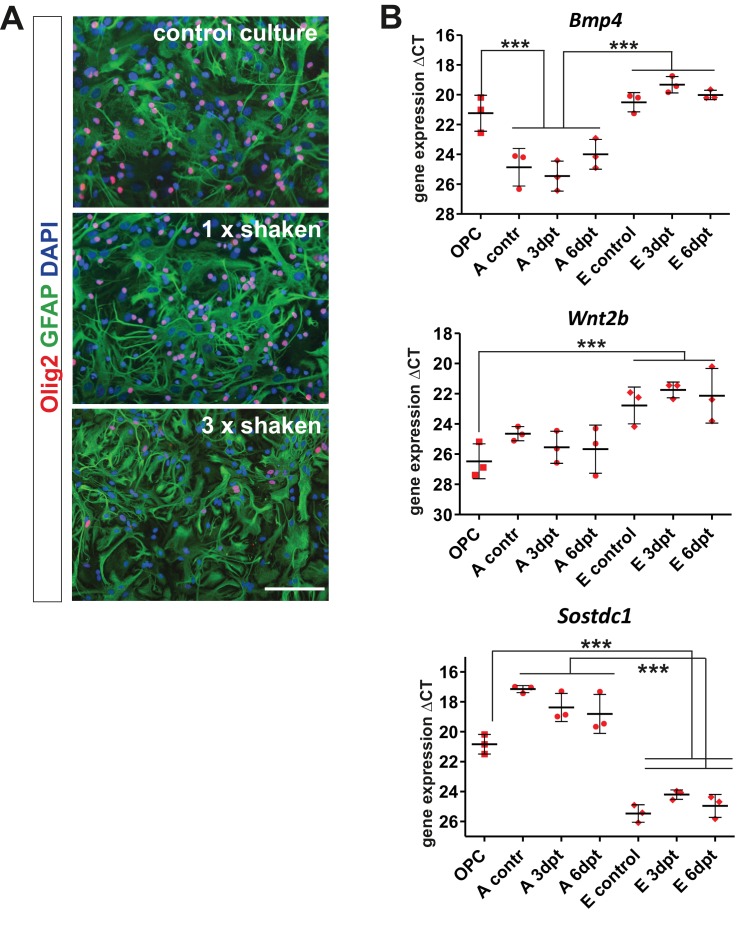 Figure 4—figure supplement 2.