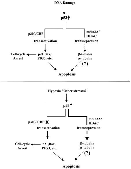 FIG. 10