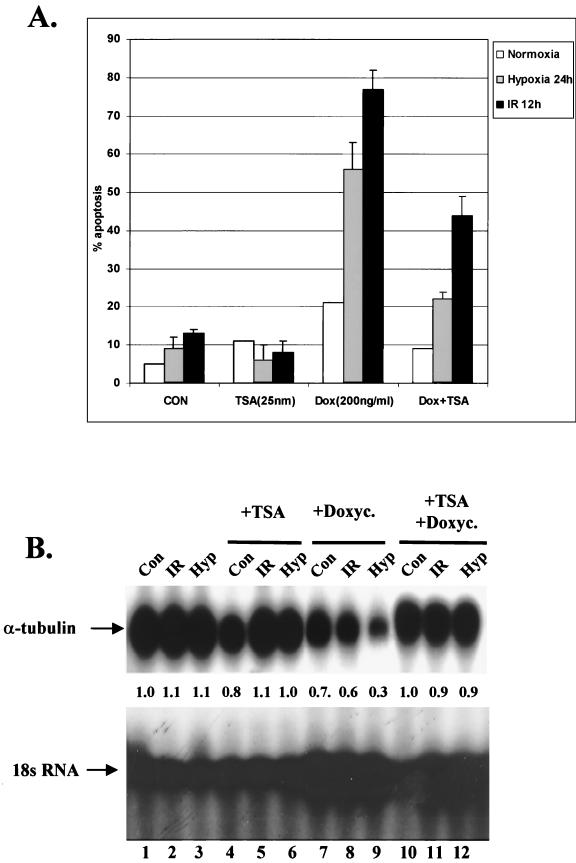 FIG. 9