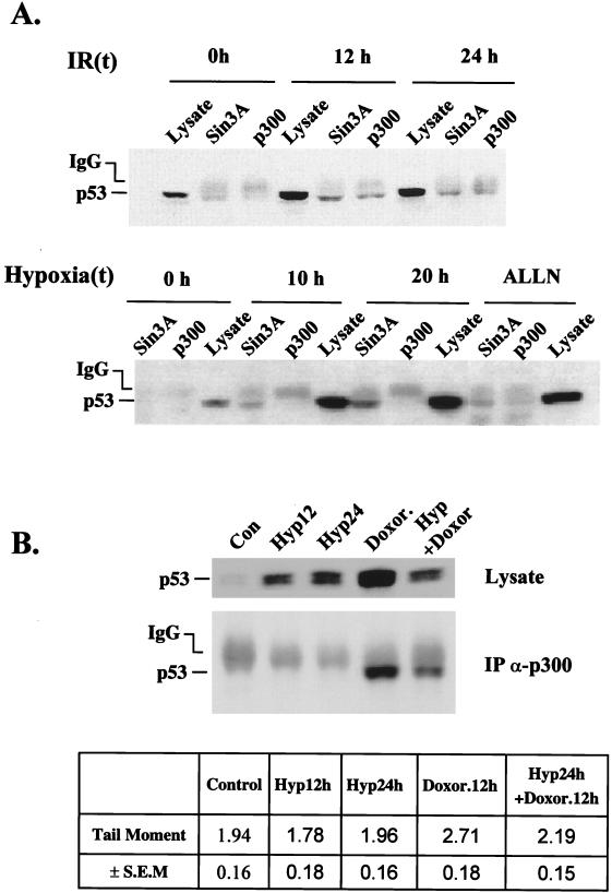 FIG. 8