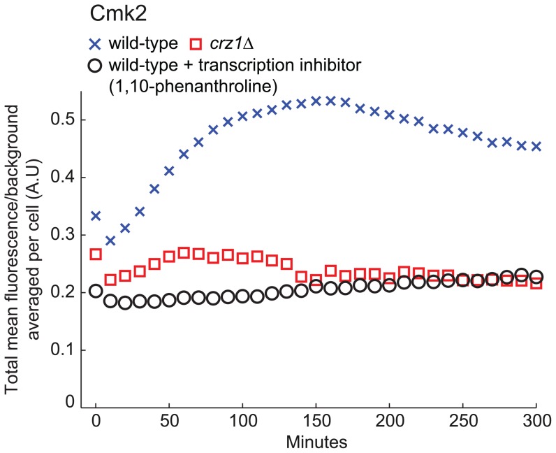 Figure 6