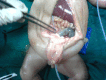 Figure 6