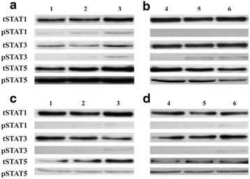 Fig. 8