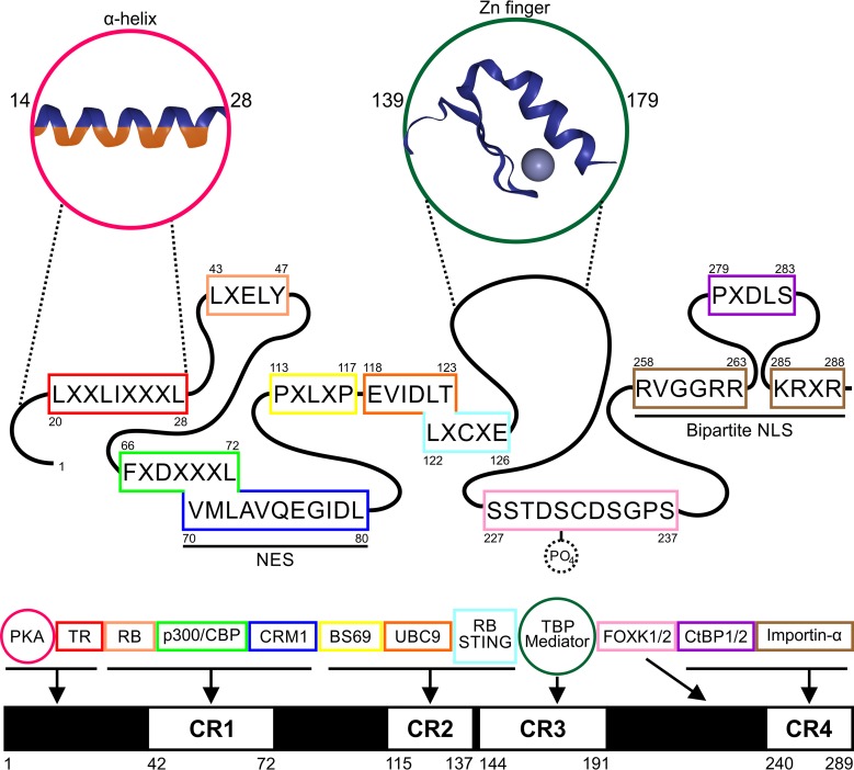 FIG 2 