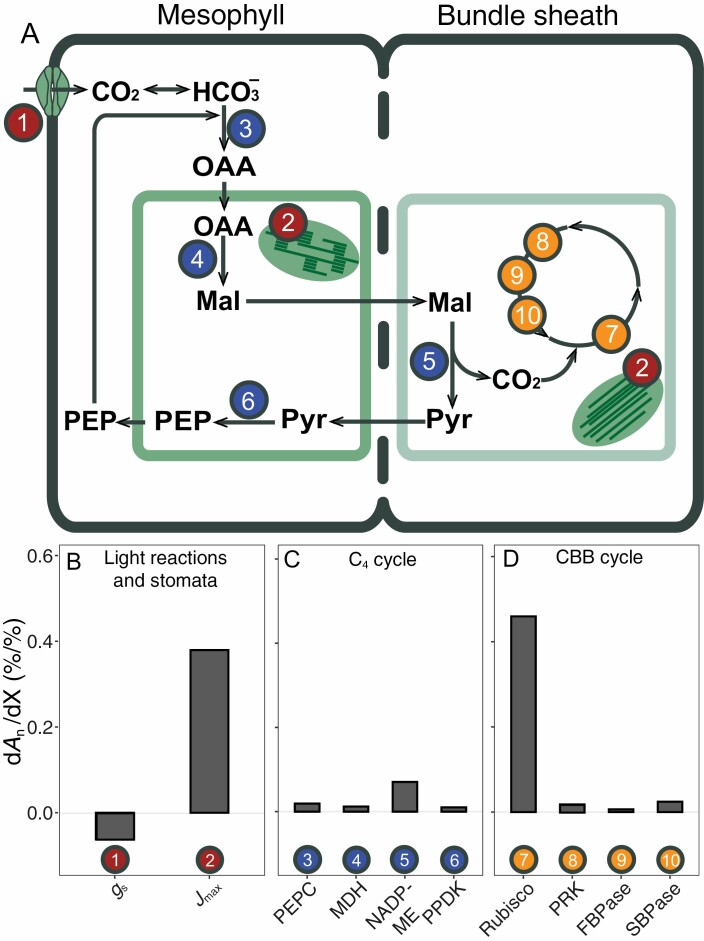 Fig. 3.