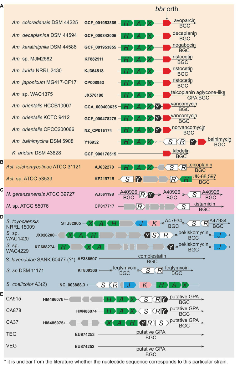 Figure 1(Continued)FIGURE 1