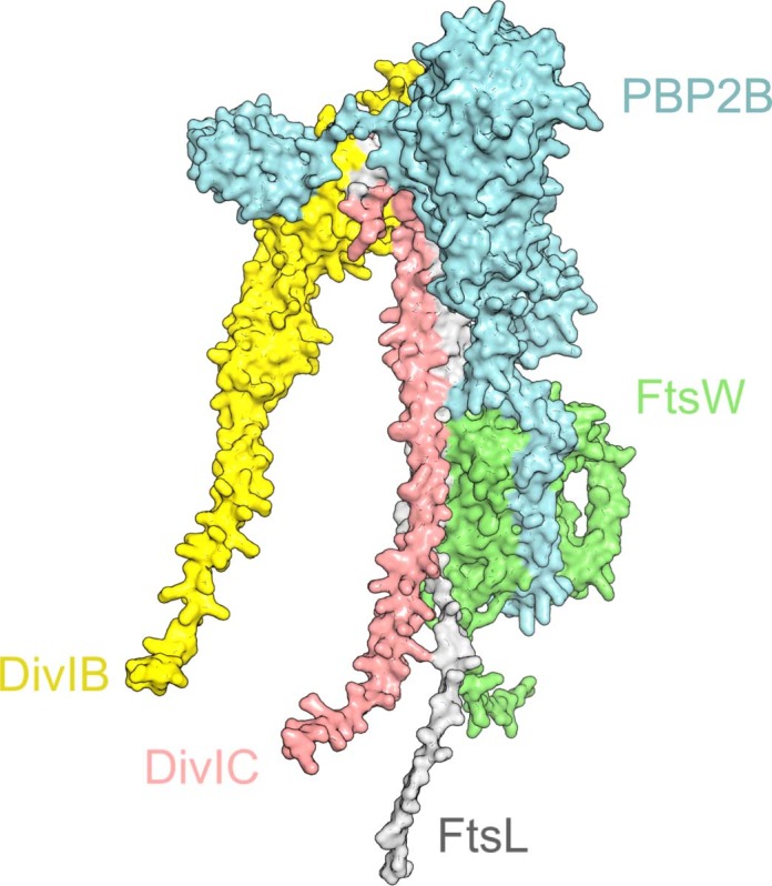 Extended Data Fig. 1