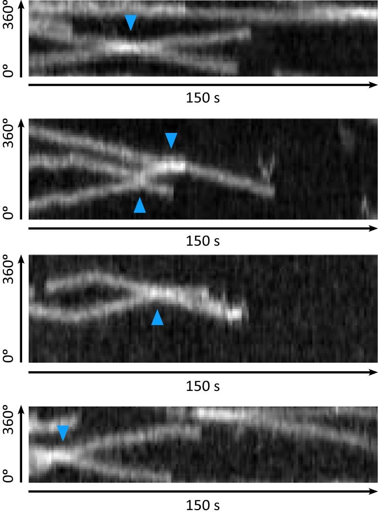 Extended Data Fig. 3