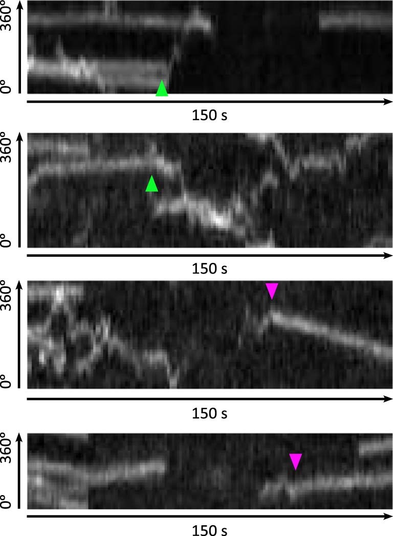 Extended Data Fig. 2