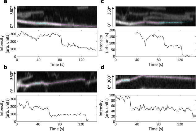 Extended Data Fig. 7