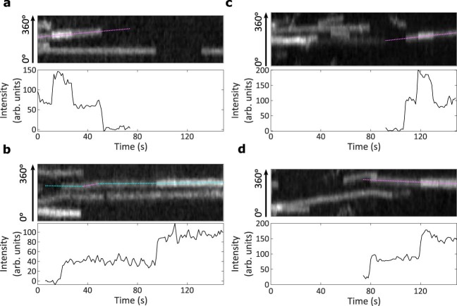 Extended Data Fig. 9