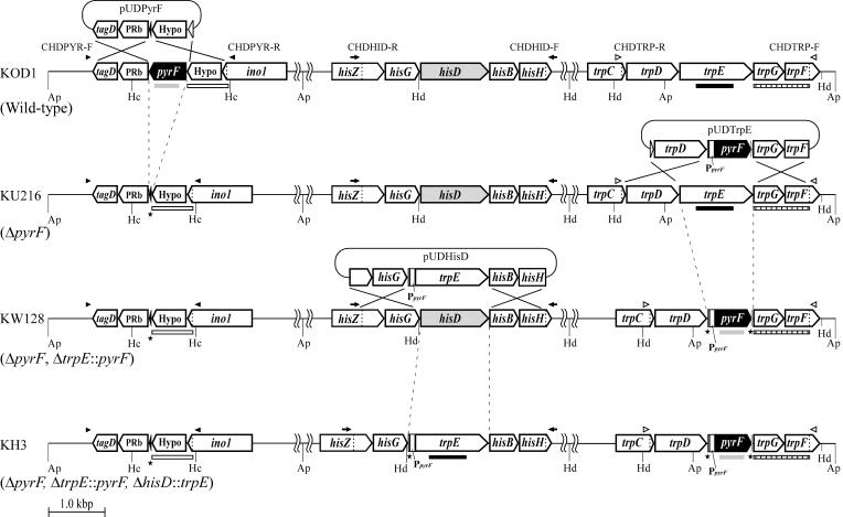 FIG. 1.