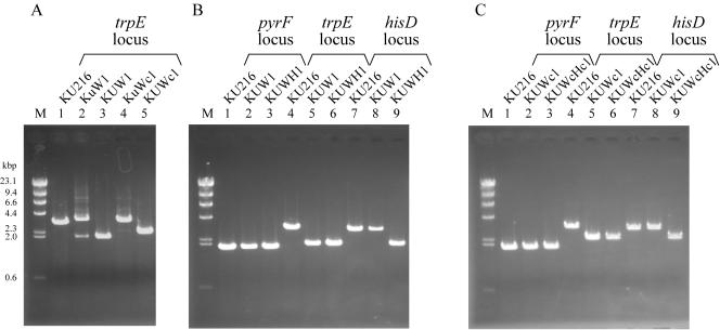 FIG. 5.