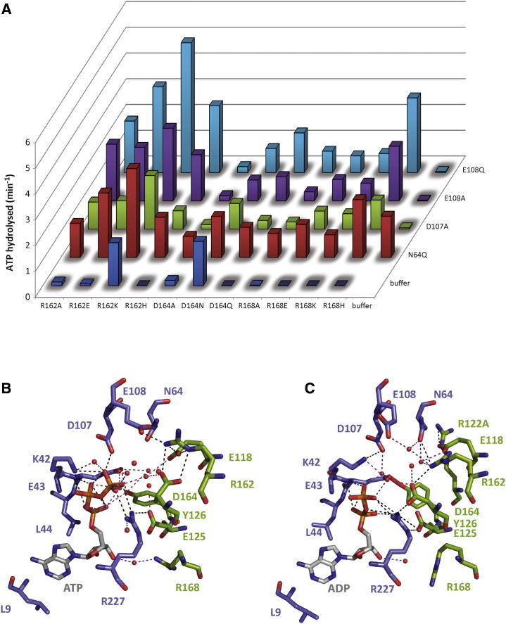 Figure 3