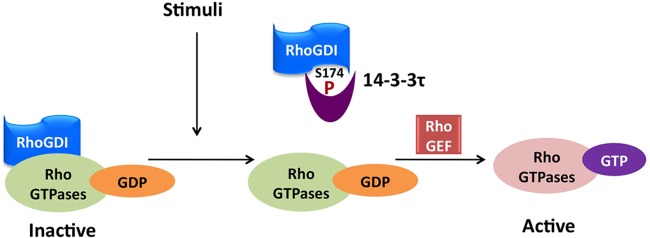 FIG 11