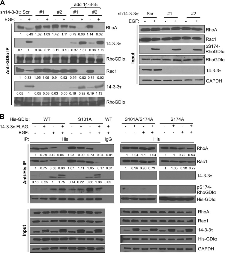 FIG 6