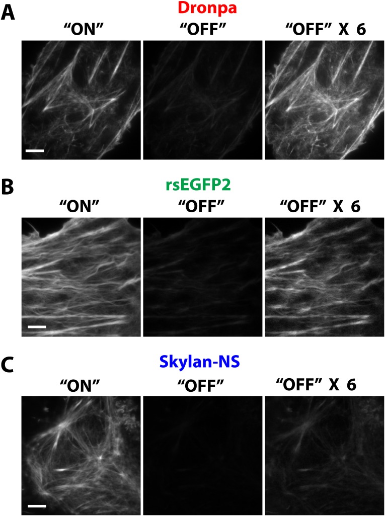 Fig. S4.