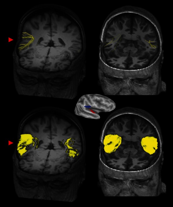 Figure 1.