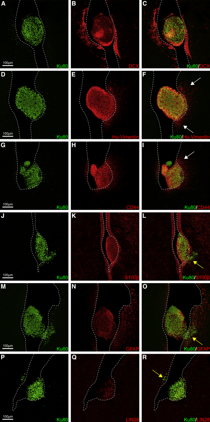 Figure 3