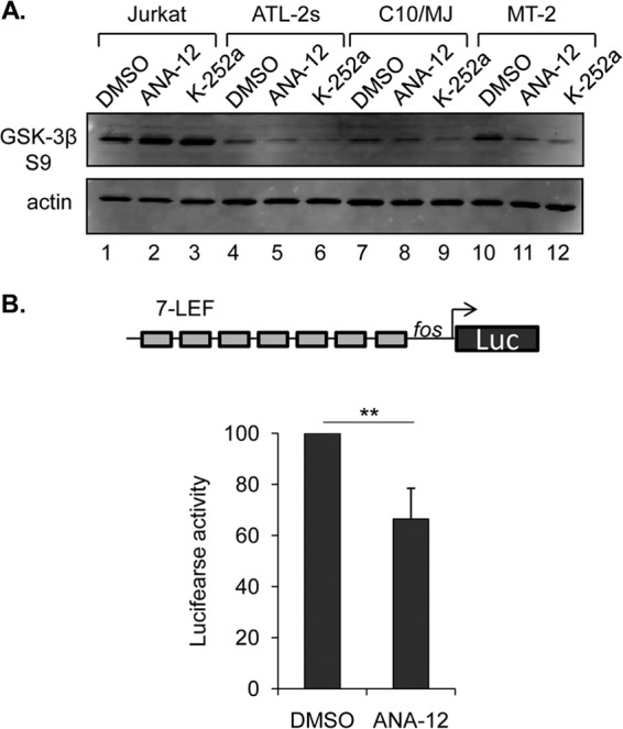 FIG 8