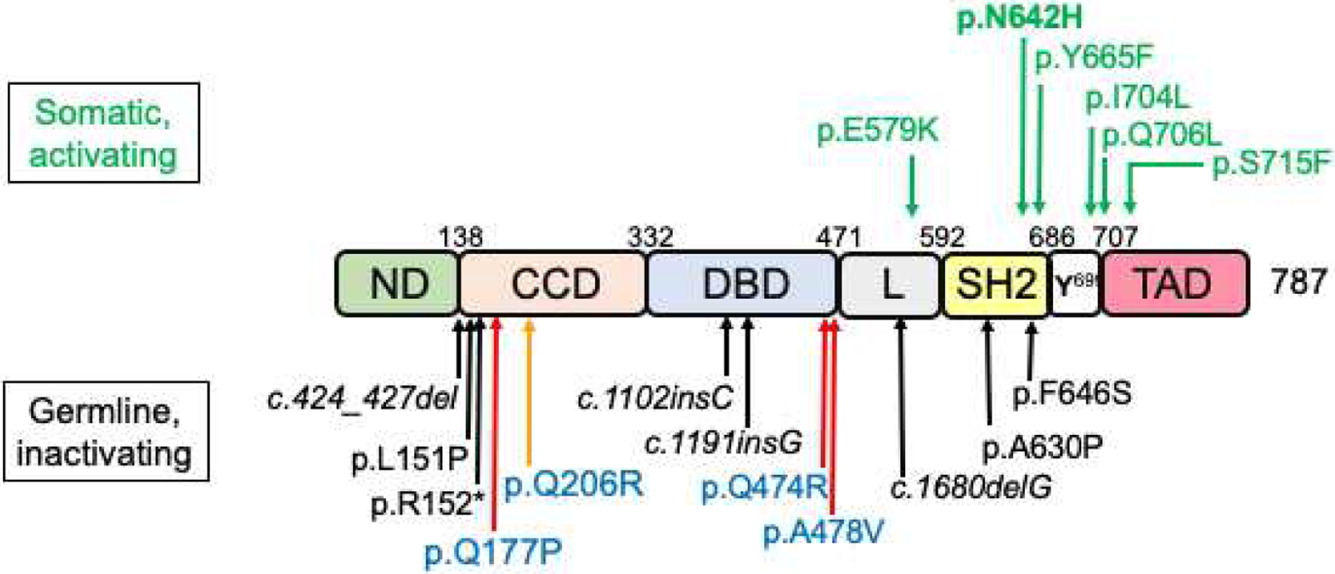 Figure 3.