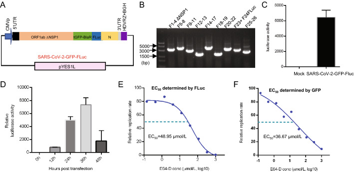 Fig. 6