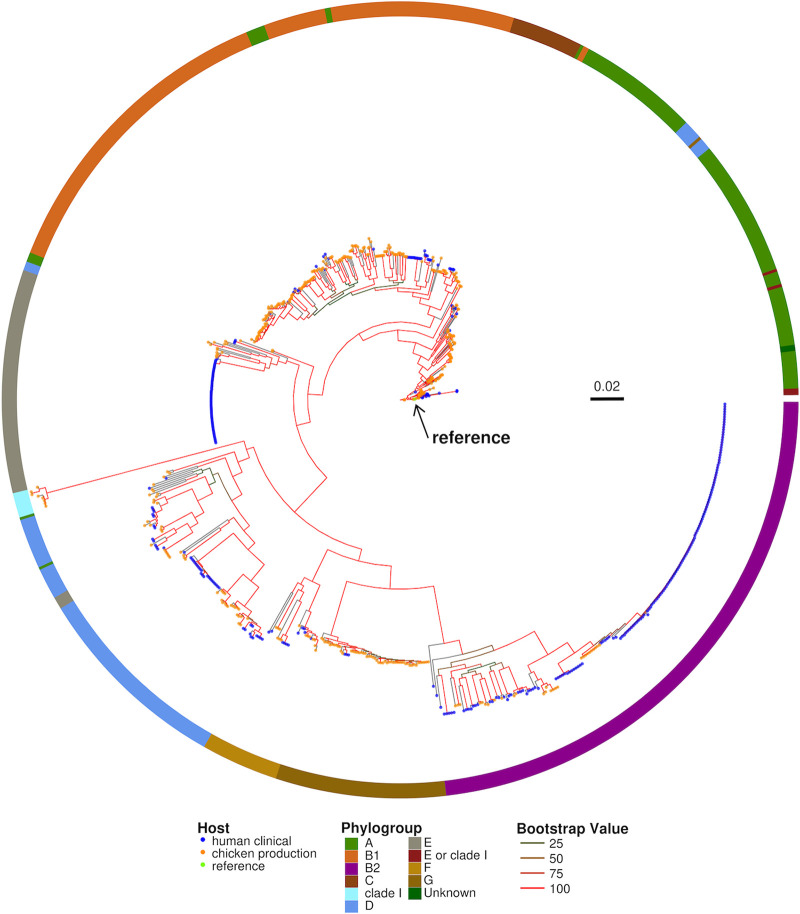 FIG 3