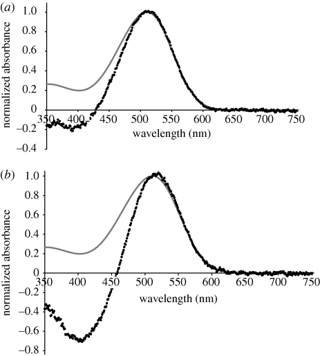 Figure 3.