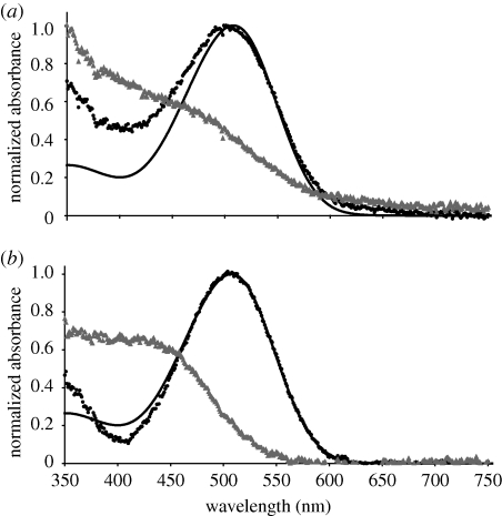 Figure 2.